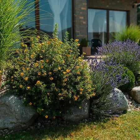 Tomas * Vel'ka Lomnica