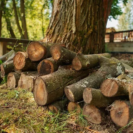 Tomas * Vel'ka Lomnica